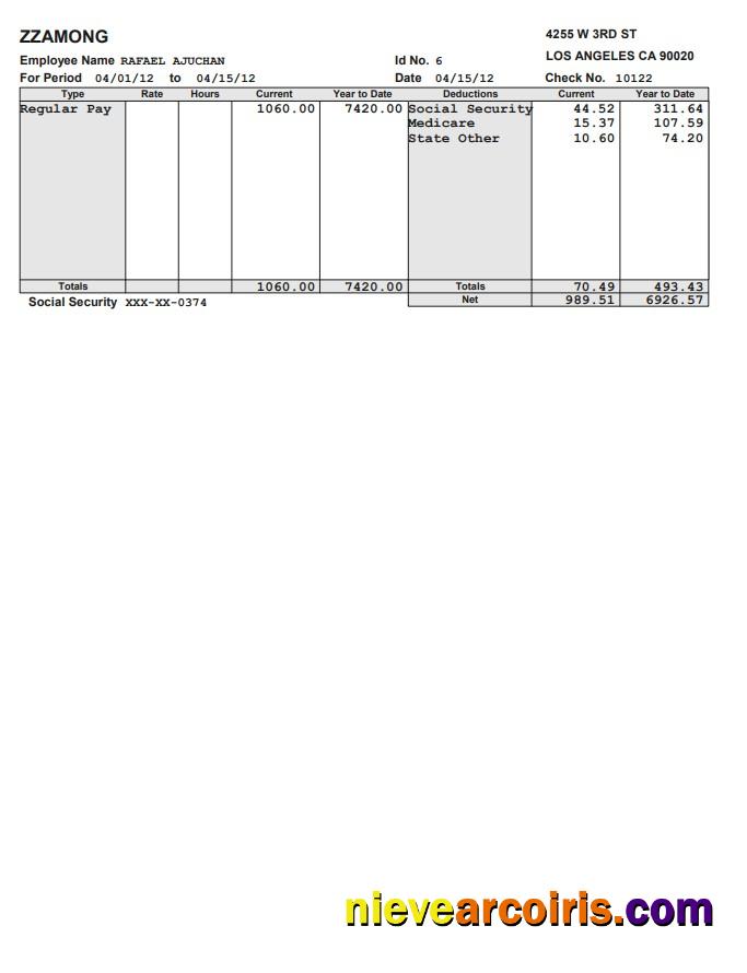 Zzamong company pay stub